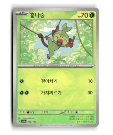 Pokemon Korean Terastal Festival Grookey MasterBall #6