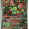 SV9 Maractus 101/100